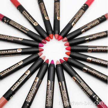 Maquillage personnalisé stylo rouge à lèvres cosmétiques imperméables mat